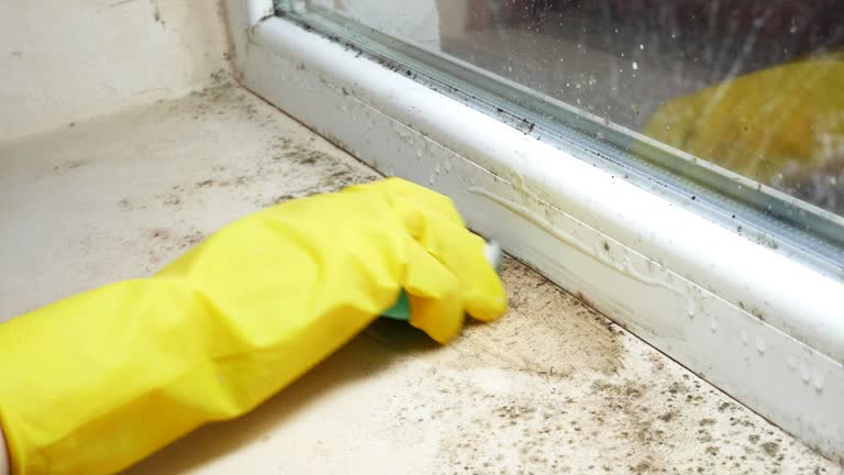 Mold Remediation for Vacation Homes in Richland Hills, TX